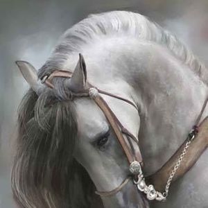 Meet your Posher, Nuonita